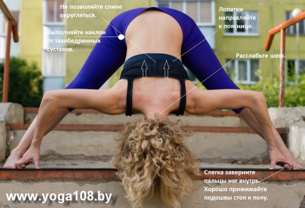 Prazarita padatanasana C