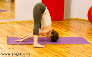 Prasarita Padottanasana