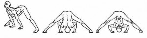 Parasarita-Patodanasana-1-2