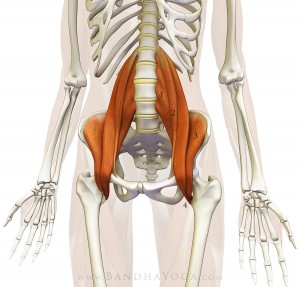 iliopsoas