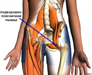 iliopsoas