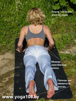 Bhudjangasana